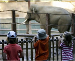 Children at Zoo