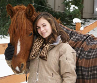 Pet Horse