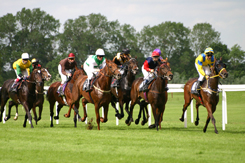Horse Races