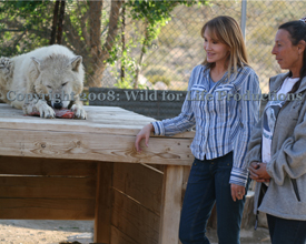 Katia on Location @ Wolf Mountain Sanctuary