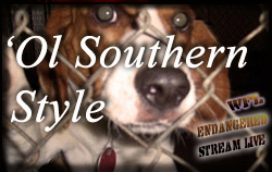 'Ol Southern Style Banner