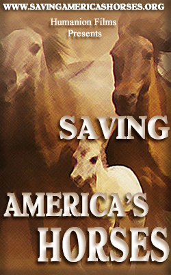 Saving America's Hiorses Film Banner