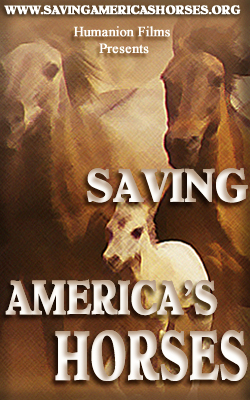 Saving America's Horses