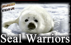 Seal%20Warriors%20BNR_250x158.jpg