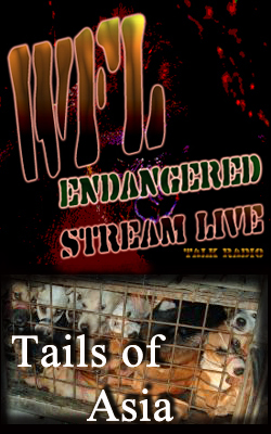Program Banner